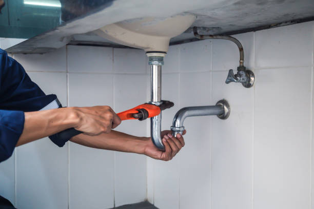 Best Clogged Drain Plumber  in South Fulton, TN
